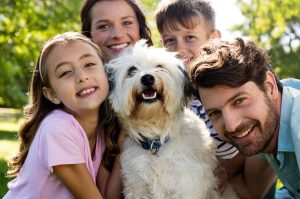 Pets Friend Forever Blog - Benefits Of Taking Your Dog To Obedience Training