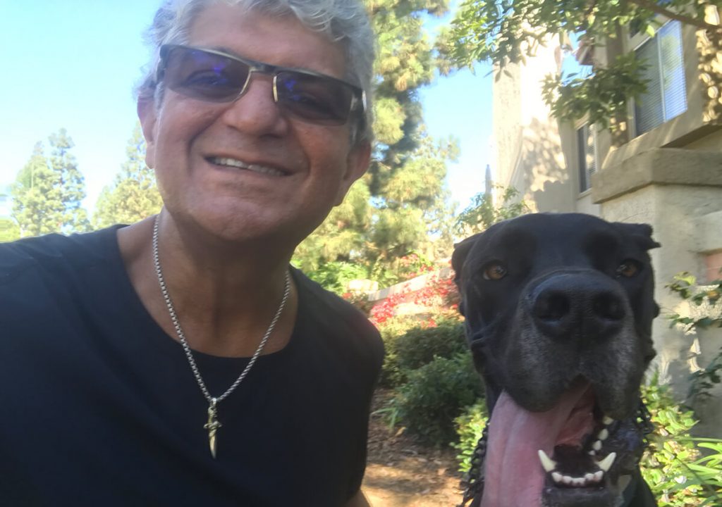 Pets Friend Forever - Dog Trainer in Orange County - Gallery