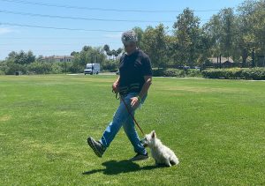 dog walker in Laguna Niguel Ca
