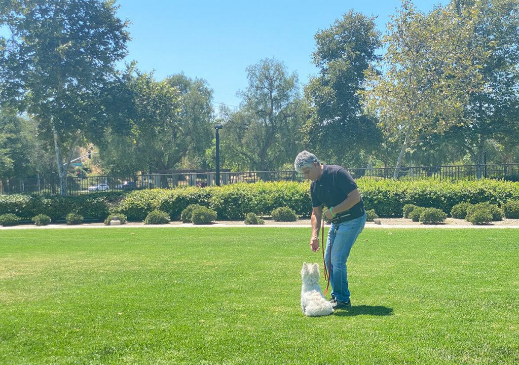 Pets Friend Forever - Dog Trainer in Orange County - Training Service