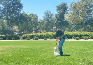 Pets Friend Forever - Dog Trainer in Orange County - Training Service