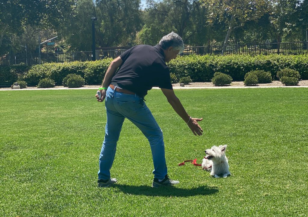 Pets Friend Forever - Dog Trainer in Orange County - Dog Training Services