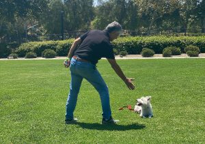 Pets Friend Forever - Dog Trainer in Orange County - Dog Training Services
