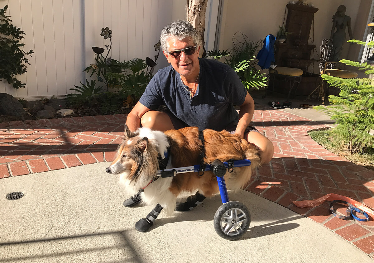 Pets Friend Forever - Dog Trainer in Orange County - Special Needs Services