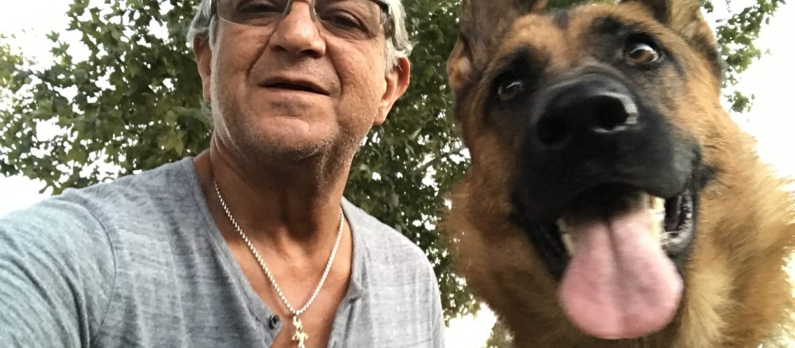 Halloween dog safety