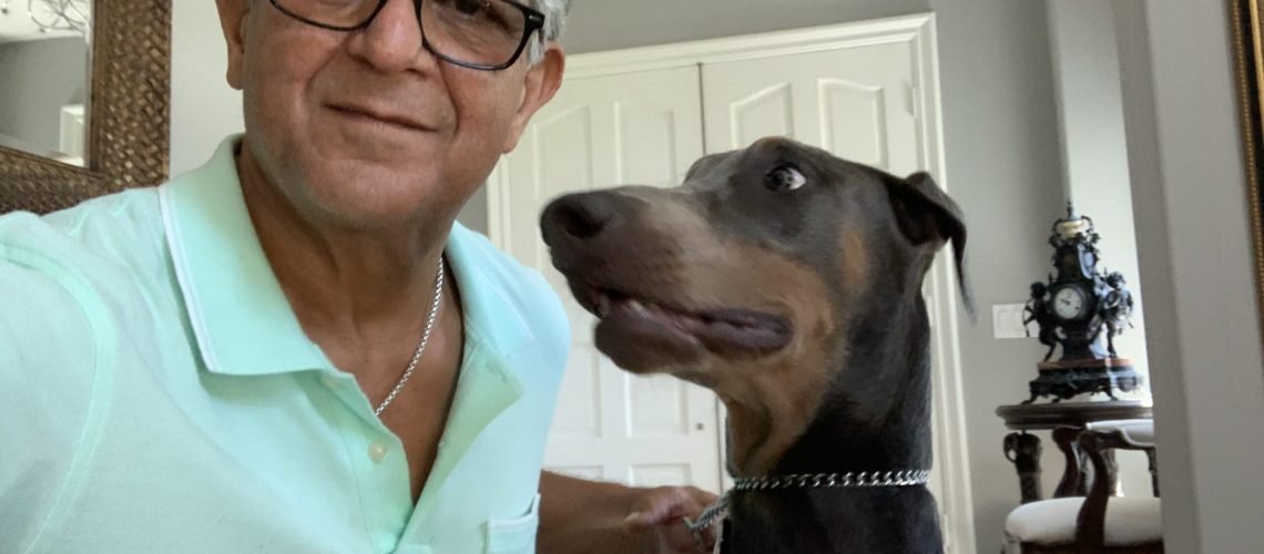 Positive Reinforcement Dog Training