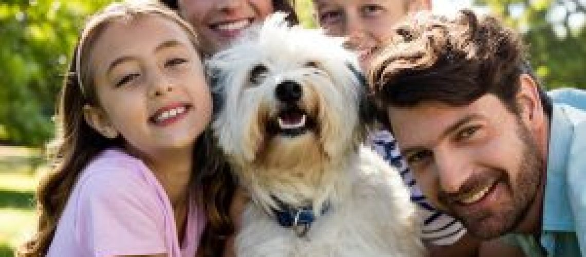 Pets Friend Forever Blog - Benefits Of Taking Your Dog To Obedience Training