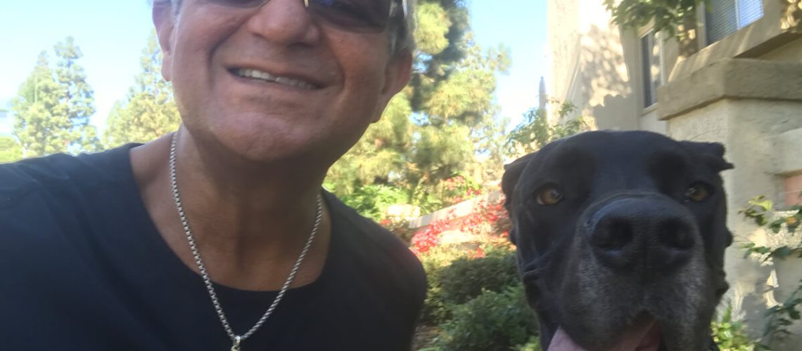 Pets Friend Forever - Dog Trainer in Orange County - Gallery