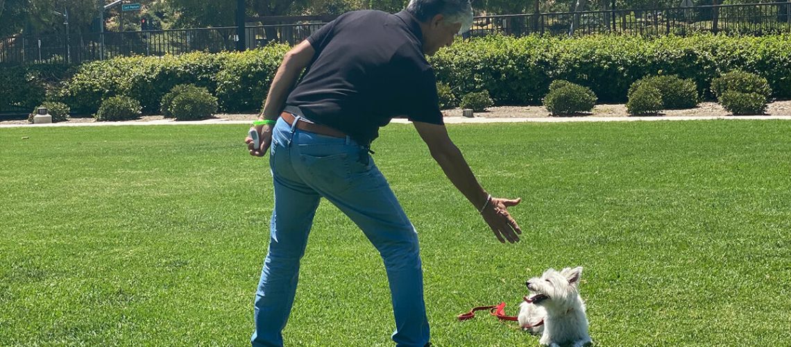 Pets Friend Forever - Dog Trainer in Orange County - Dog Training Services