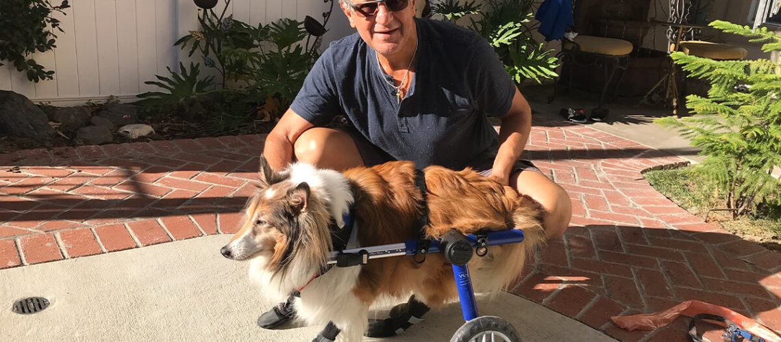 Pets Friend Forever - Dog Trainer in Orange County - Special Needs Services