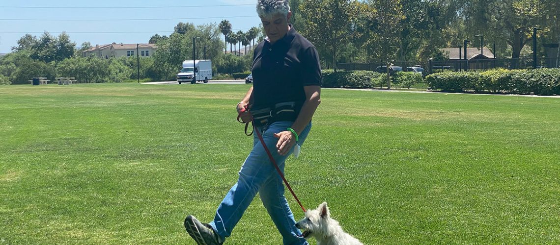 dog walker in Laguna Niguel Ca