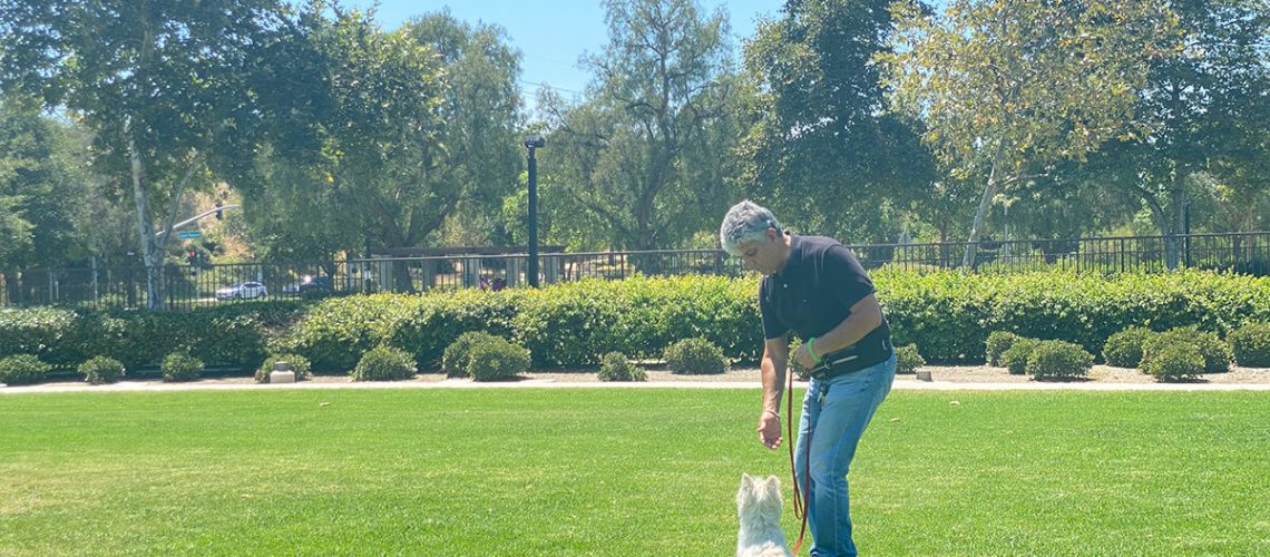 Pets Friend Forever - Dog Trainer in Orange County - Training Service